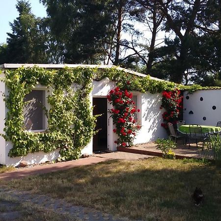 Ferienhaeuschen Vila Born Exterior foto