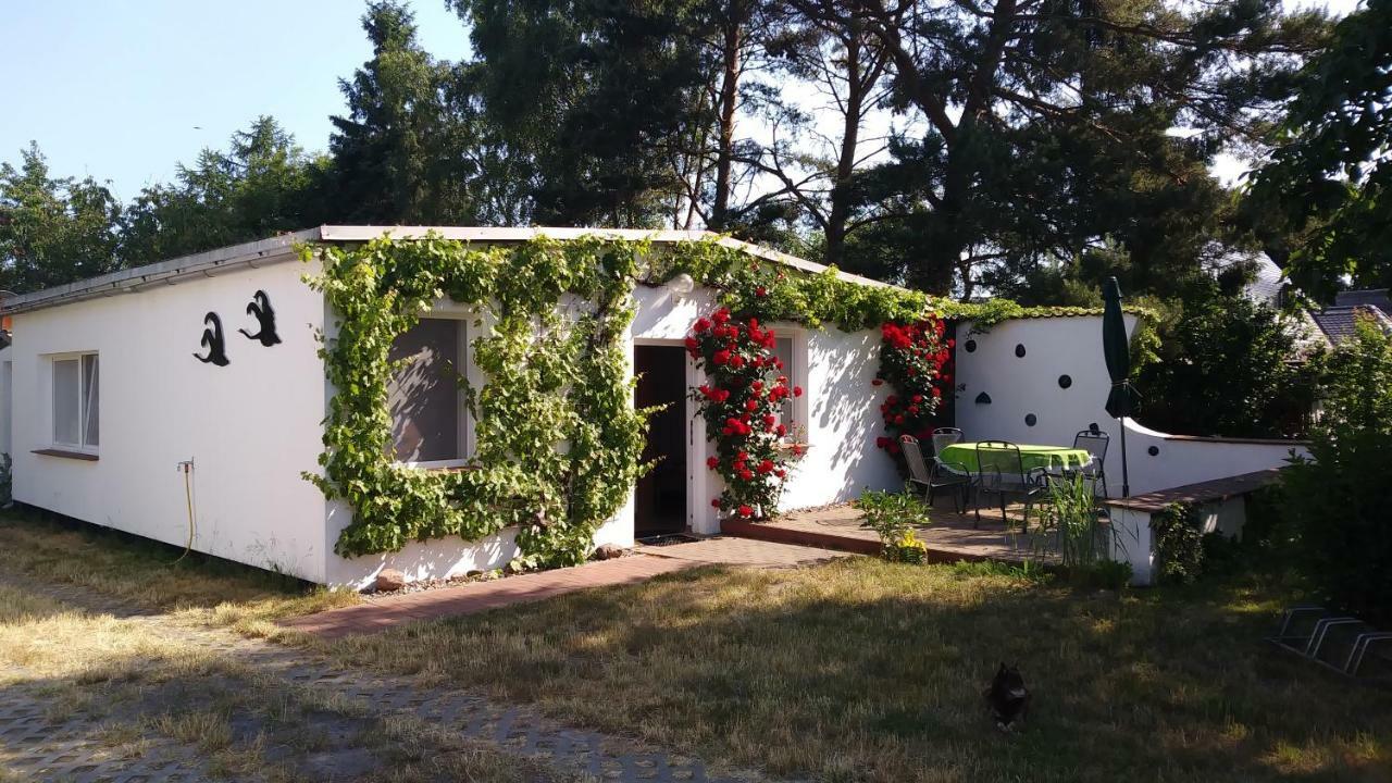 Ferienhaeuschen Vila Born Exterior foto